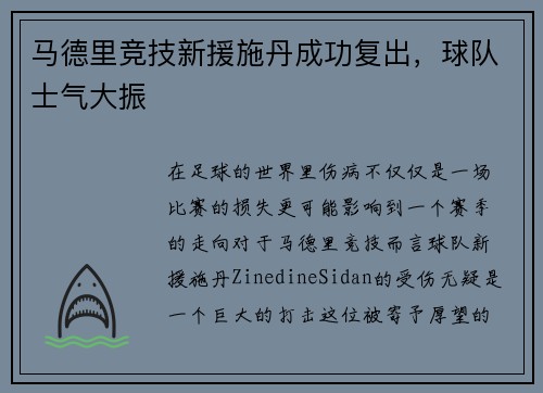 马德里竞技新援施丹成功复出，球队士气大振